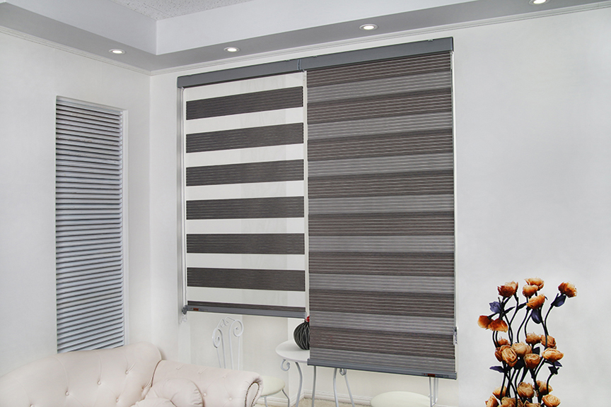 Combi Blinds